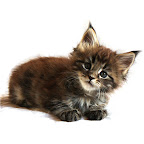 Bearcloud Serial Thrilla @ 6 weeks trille2.jpg