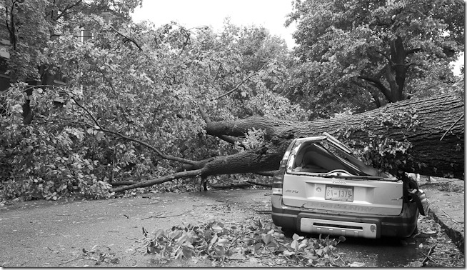 Hurricane Irene Crushed Cars Washington DC-4