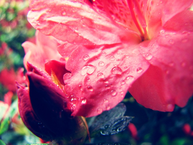 [spring%2520005%255B5%255D.jpg]
