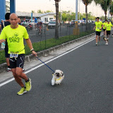 Pet Express Doggie Run 2012 Philippines. Jpg (52).JPG