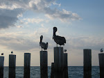 IMG_4646.jpg