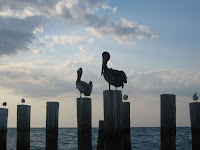 IMG_4646.jpg