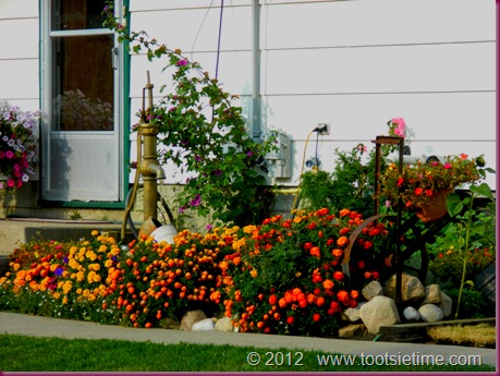 DSCN5419 DSCN5419
