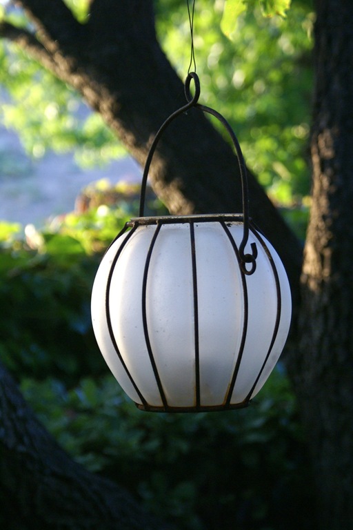 [238%2520lantern%2520copy%255B2%255D.jpg]