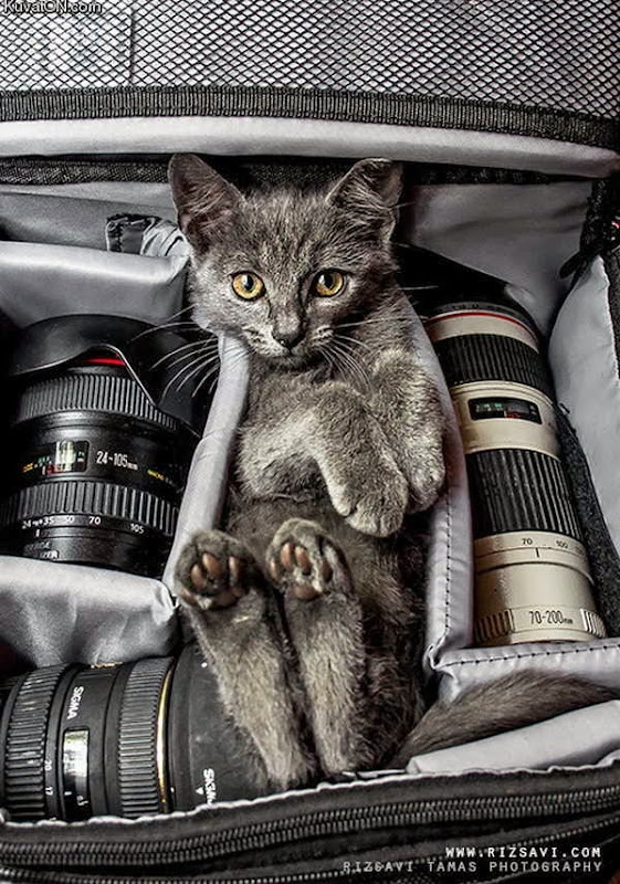 Imagens engraçadas e curiosas 30 Imagens engraçadas e curiosas 30