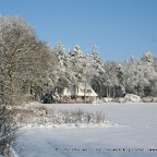 3-1-2010-015.jpg