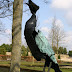 Object: 03047 - Aalscholver - 60 cm - € 5990,=