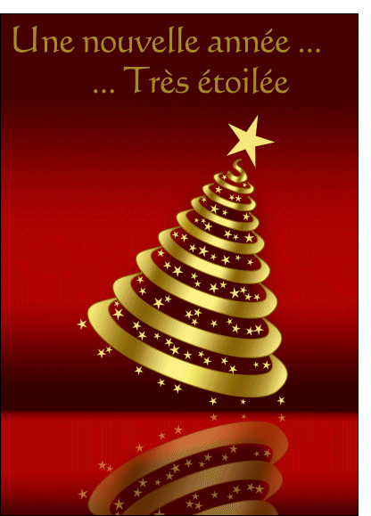 [689-Carte%2520de%2520voeux%2520tres%2520etoilee_maxi%255B2%255D.gif]