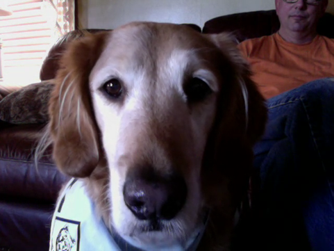 Video call snapshot 7