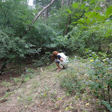 DSC02442.JPG