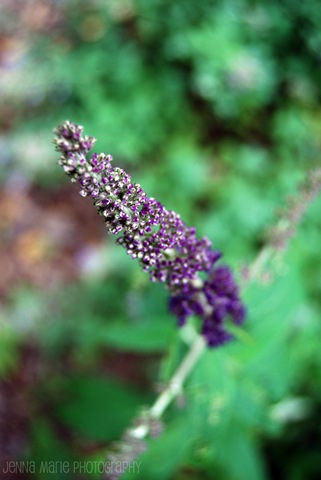 [DSC_02864.jpg]
