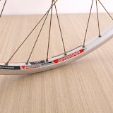 image10.jpg
