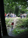 P7050877.JPG