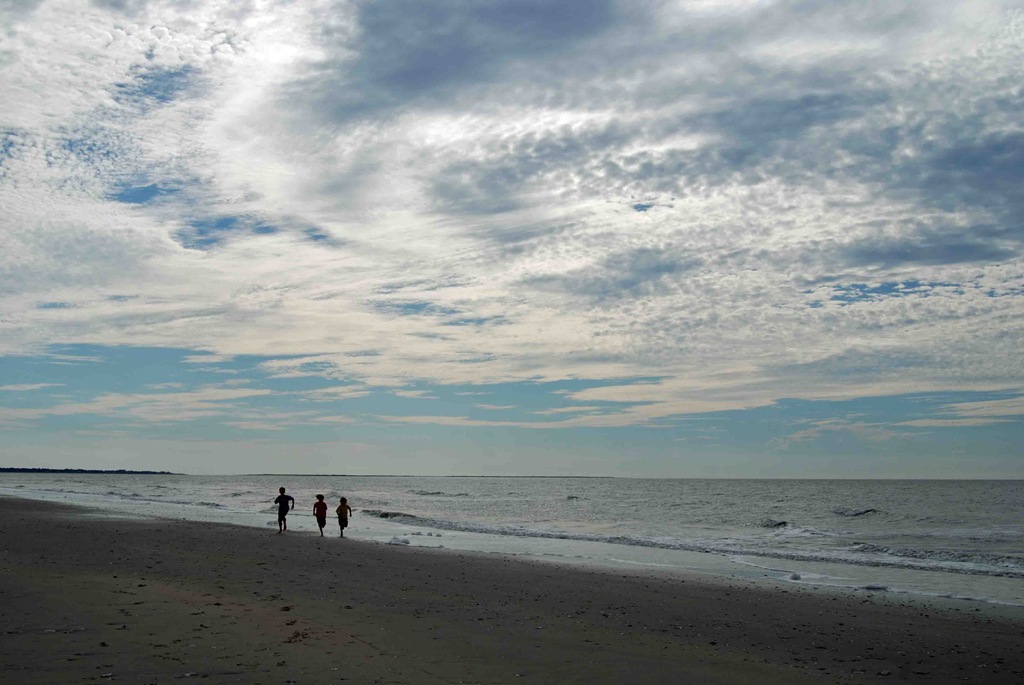 [edisto19%255B7%255D.jpg]