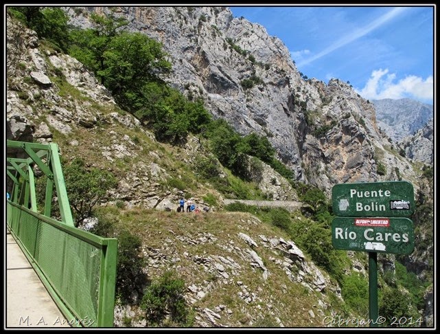 Picos 489 Picos 489