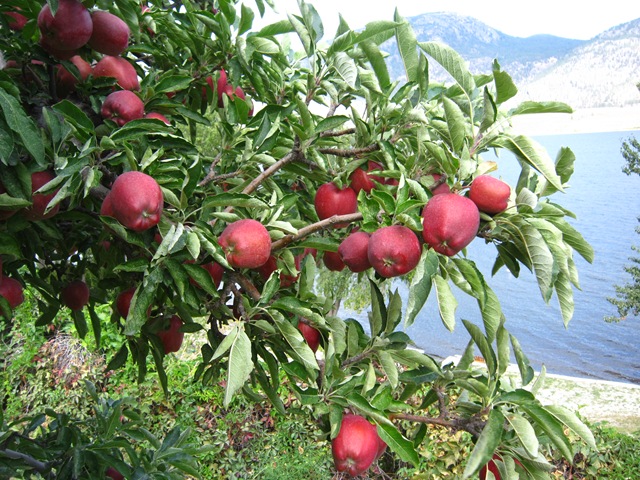 [IMG_57863.jpg]