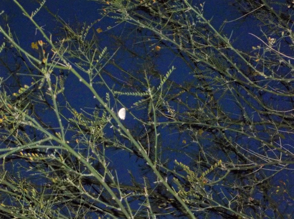 [100_0838%255B4%255D.jpg]