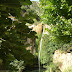 Sant Miquel del Fai