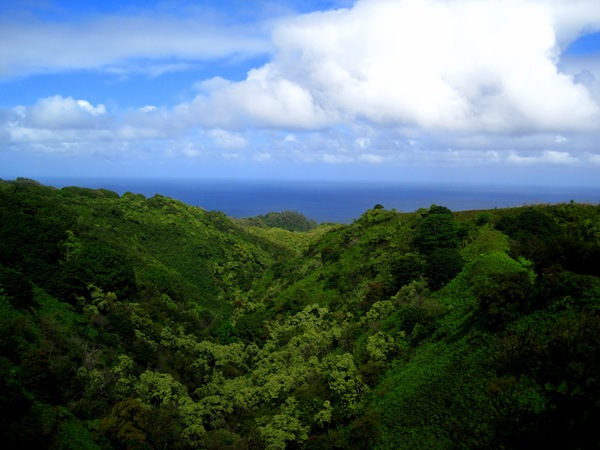 [IMG_39762.jpg]