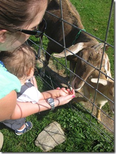2012.06.24 4-Petting Zoo (24)