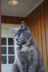 IMGP0091.JPG