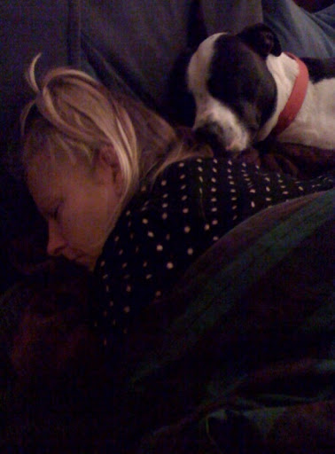 If you see your dog twitching or running in his sleep, he is likely in the very deep, REM stage of sleep.
(Stacey and Sonny snoozing soundly) If you see your dog twitching or running in his sleep, he is likely in the very deep, REM stage of sleep.
(Stacey and Sonny snoozing soundly)