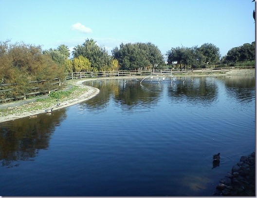 DSC00037 DSC00037