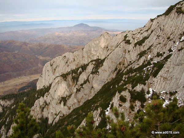 cioranga ramura de sus-35.JPG