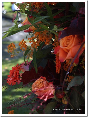 Bränatoneravblommor Bränatoneravblommor