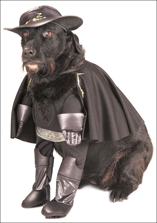 zorro_dog_costume