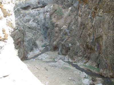 DSCN3936.jpg