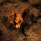 IMG_5554.JPG
