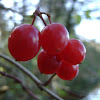 dsc05860.jpg