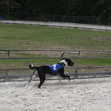 IMG_3714.JPG