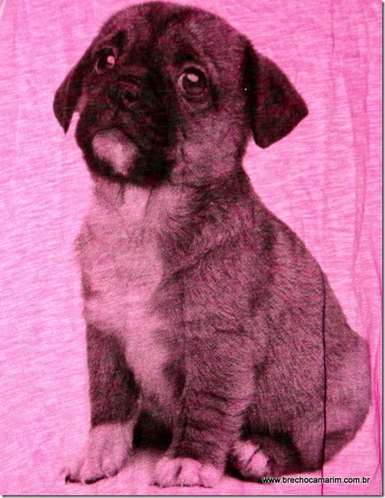 regata pink little dog-002 regata pink little dog-002