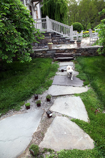 Hey Shaun!  What are you doing out here on the stone path?