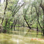 DSCN7218.JPG