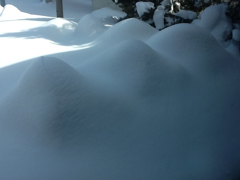 [snowstory4.jpg]