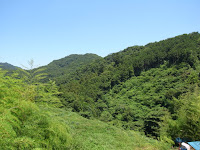 R0011811.JPG