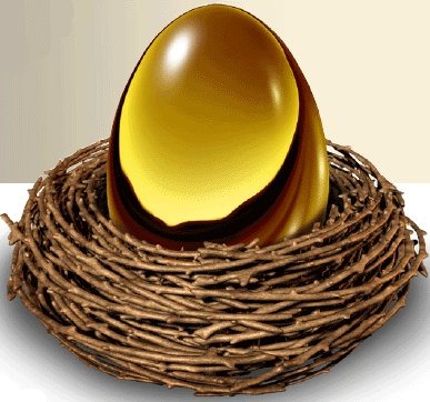 [Nest%2520Egg%255B2%255D.jpg]