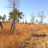 Hunting Habitat 8, Anderson Creek