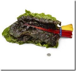 37-swiss-chard[2]