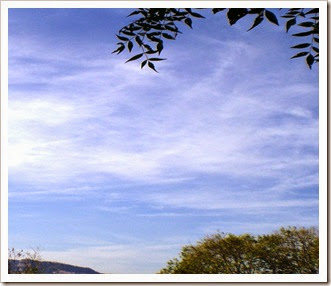 z.cieli ago2014_5 z.cieli ago2014_5