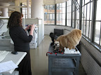 Oh good - a push cart.  Umm.. I think we've been spotted!  OK - but just one photo!