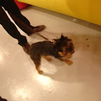 DSC04993.JPG