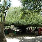 Jardim Bot&Atilde;&cent;nico da Ajuda