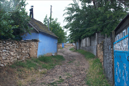 490_1534.jpg