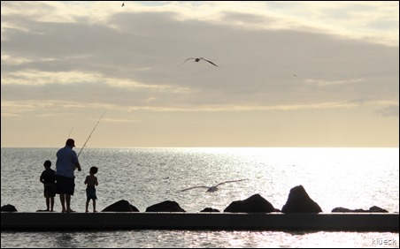 Honeymoon Island