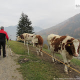 04.11.11 Weißenbach Ahrntal Südtirol - Rio Bianco Trentino Alto Adige