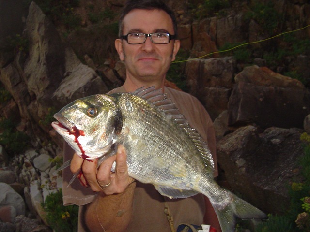 [DSC02067%255B5%255D.jpg]
